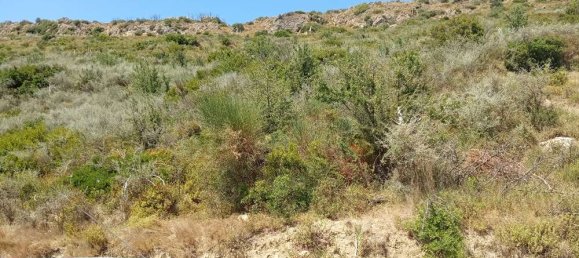  قطعة أرض في Zakynthos, Greece رقم 511 11