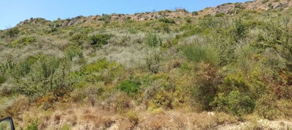  Hotel in Zakynthos, Greece No. 511 13