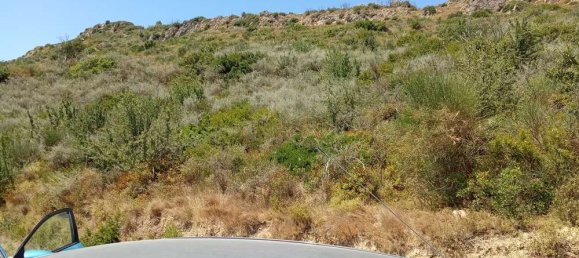  قطعة أرض في Zakynthos, Greece رقم 511 14