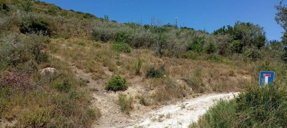  قطعة أرض في Zakynthos, Greece رقم 511 15