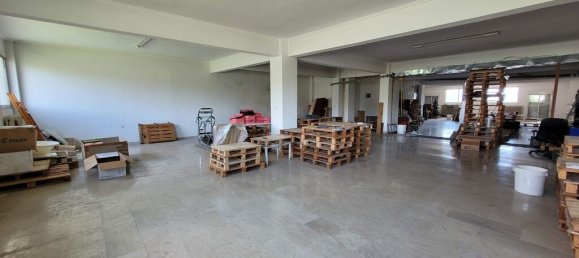 Gewerbliche Immobilien in Thessaloniki, Greece 385m², Nr. 92811 14