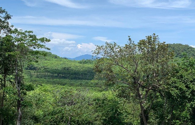 83200m² Commercial property in Phang Nga, Thailand No. 12471