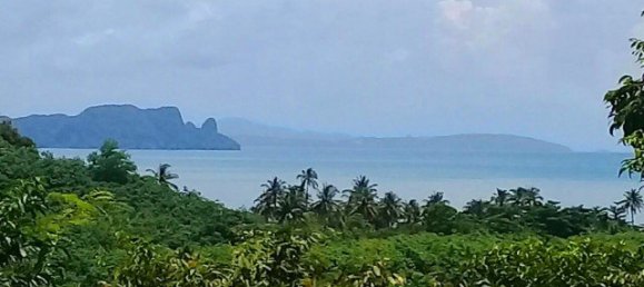 83200m² Commercial property in Phang Nga, Thailand No. 12471 5