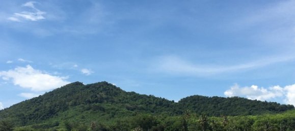 83200m² Commercial property in Phang Nga, Thailand No. 12471 3