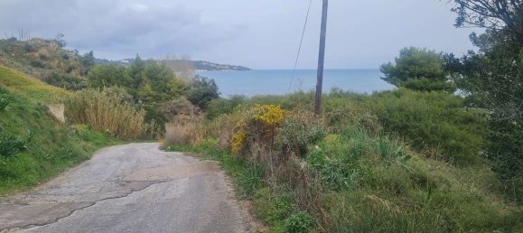 Hotel in Zakynthos, Greece, Nr. 8523 4