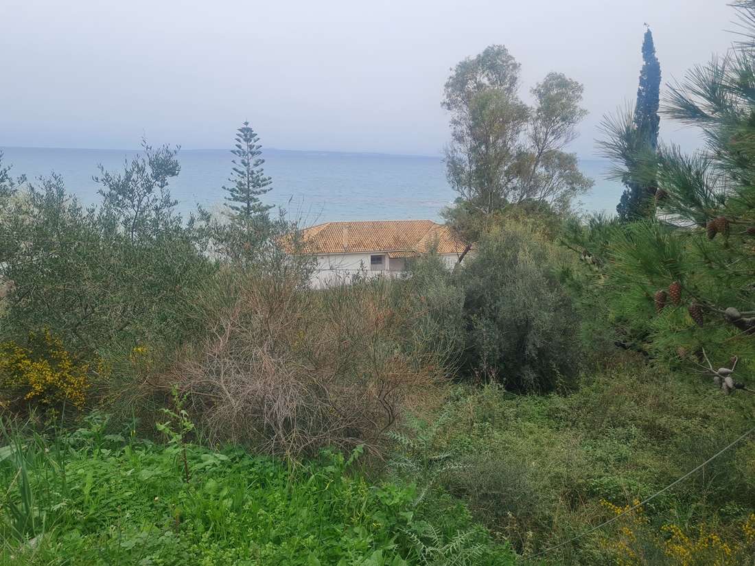 Hotel in Zakynthos, Greece, Nr. 8523