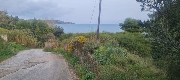 Hotel in Zakynthos, Greece, Nr. 8523 6