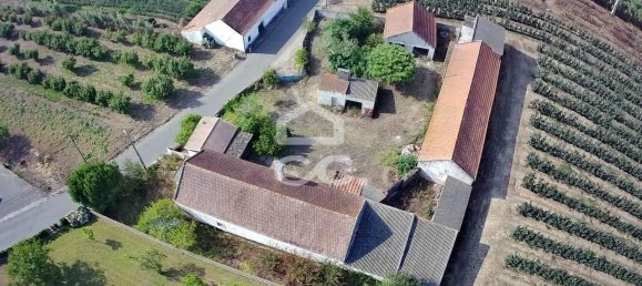 3 غرف نوم منزل في Bombarral, Portugal رقم 148351 43