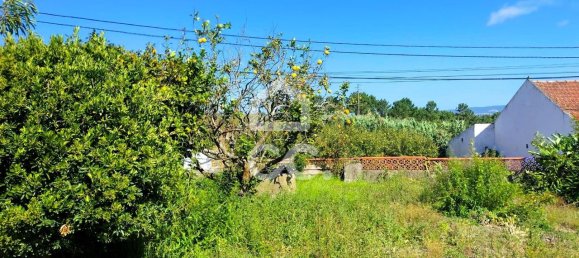 3 غرف نوم منزل في Bombarral, Portugal رقم 148351 40