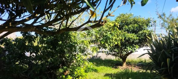 3 غرف نوم منزل في Bombarral, Portugal رقم 148351 18