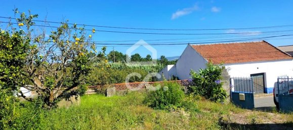 3 غرف نوم منزل في Bombarral, Portugal رقم 148351 3