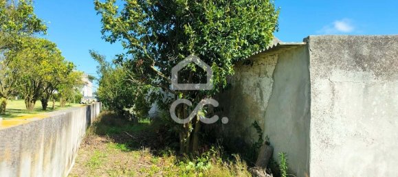 3 غرف نوم منزل في Bombarral, Portugal رقم 148351 20