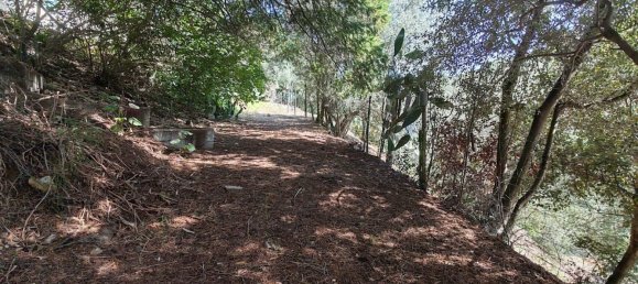 Villa de 6 dormitorios en Oletta, France No. 261109 32