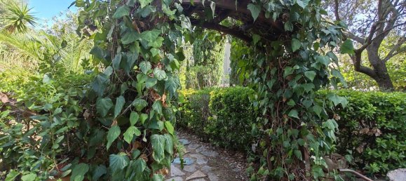 Villa de 6 dormitorios en Oletta, France No. 261109 12