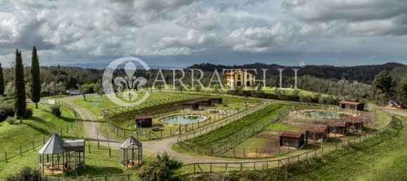 15 bedrooms House in Palaia, Italy No. 148930 34