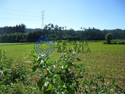 8030m² Land in Valongo, Portugal No. 56689
