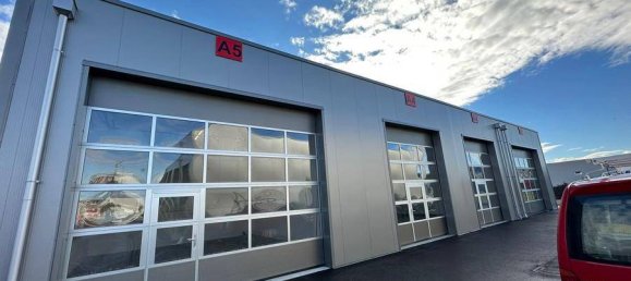 مستودع في Traiskirchen, Austria رقم 27435 4