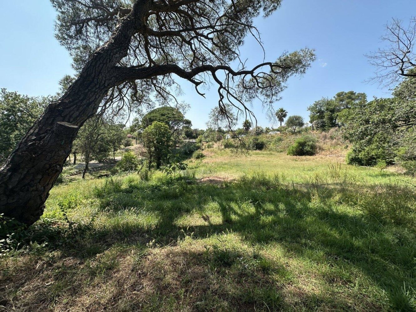 1 bedroom House in Le Muy, France No. 327605