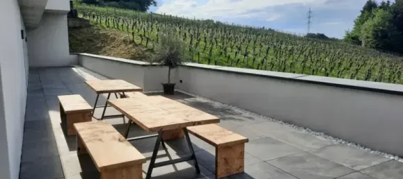 Gewerbliche Immobilie in Jennersdorf, Austria 570m², Nr. 214841 2