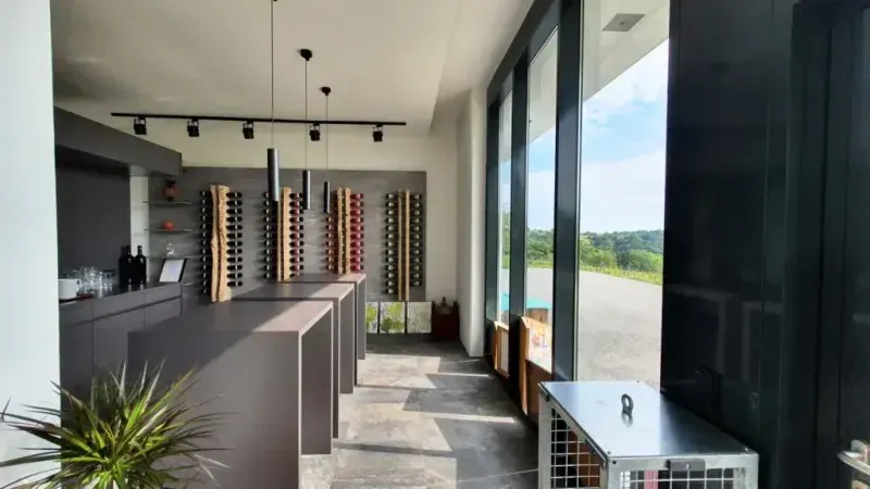 Propriété commerciale à Jennersdorf, Austria 570m² No. 214841