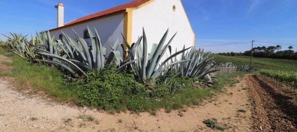  Castillos de 3 dormitorios en Torres Vedras, Portugal No. 128865 30