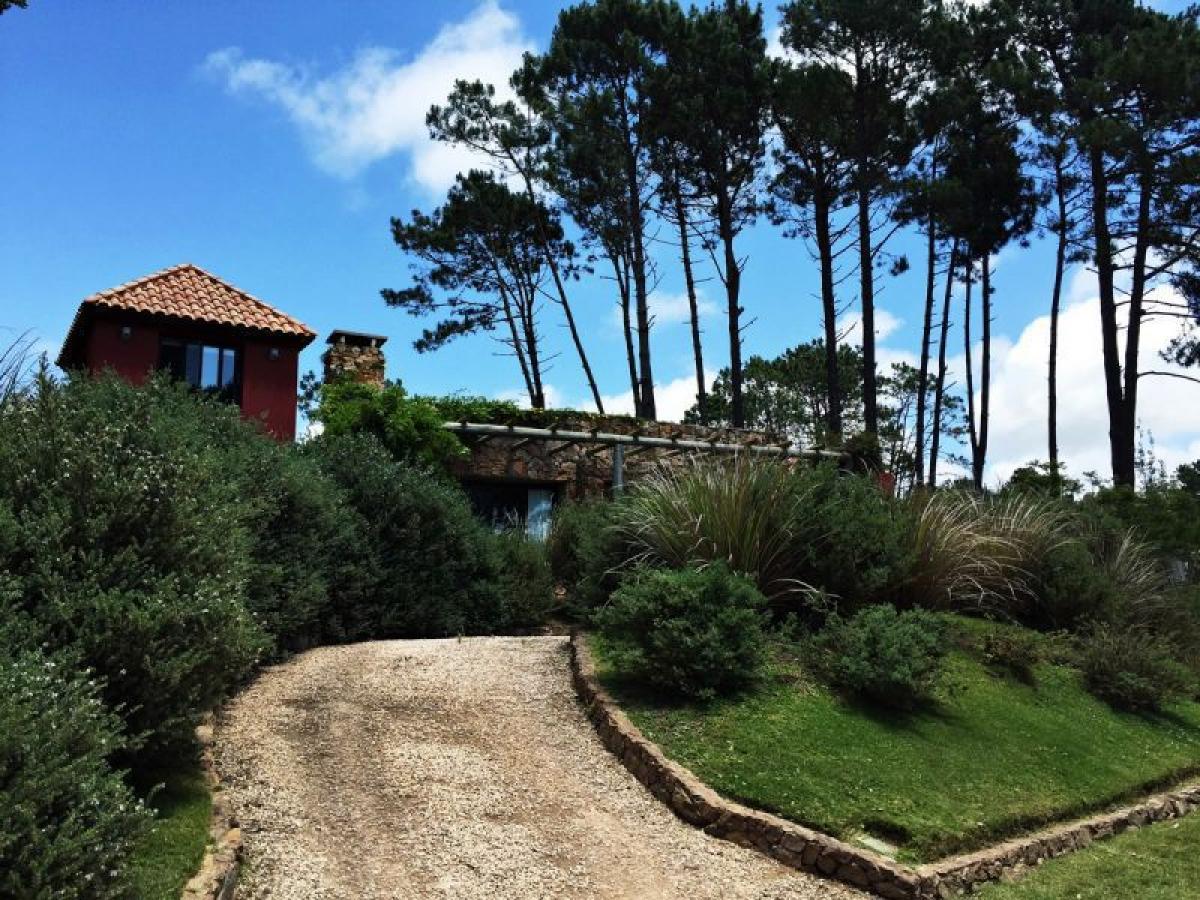 5 bedrooms House in Maldonado, Uruguay No. 9891