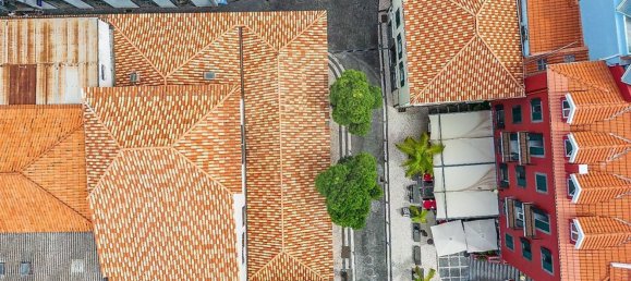 219m² Warehouse in Funchal, Portugal No. 92642 26