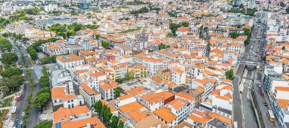 219m² Warehouse in Funchal, Portugal No. 92642 22