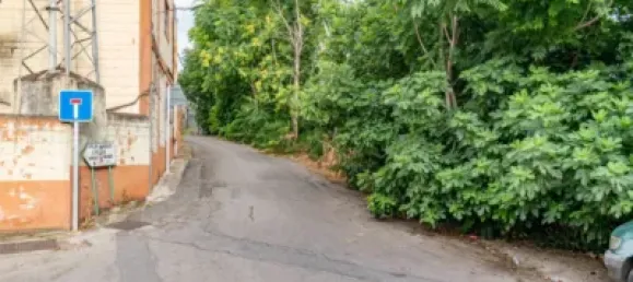  مستودع في Jun, Spain 240متر مربع رقم 181238 28