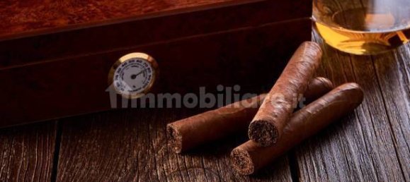 2غرفة عقار تجاري في Savona, Italy رقم 189154 30