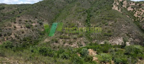  قطعة أرض في Sao Bartolomeu de Messines, Portugal 56916متر مربع رقم 71944 2