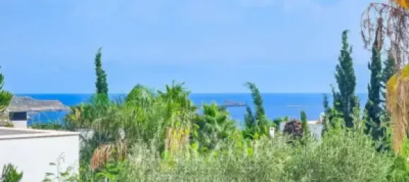 5 bedrooms Villa in Costa De La Calma, Spain No. 170056 15