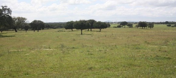 Grundstück in Palmela, Portugal 76138m², Nr. 268003 12