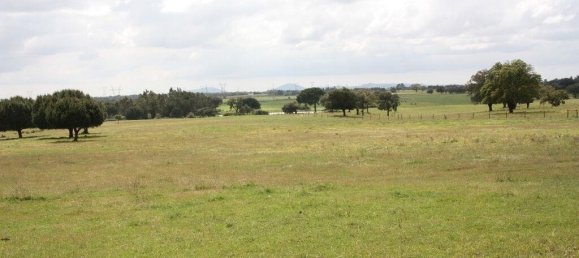 Grundstück in Palmela, Portugal 76138m², Nr. 268003 17