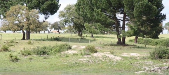 Grundstück in Palmela, Portugal 76138m², Nr. 268003 6