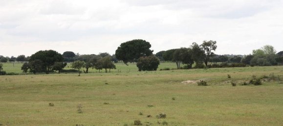 Grundstück in Palmela, Portugal 76138m², Nr. 268003 26