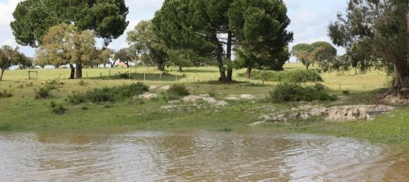 Grundstück in Palmela, Portugal 76138m², Nr. 268003 28