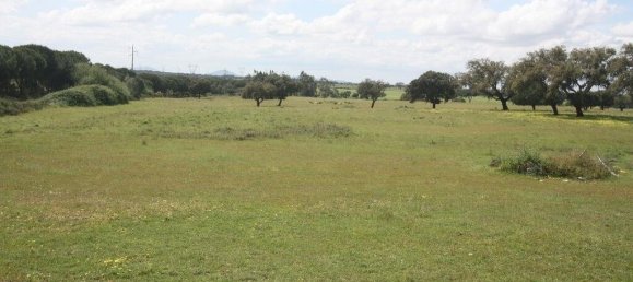 Grundstück in Palmela, Portugal 76138m², Nr. 268003 8