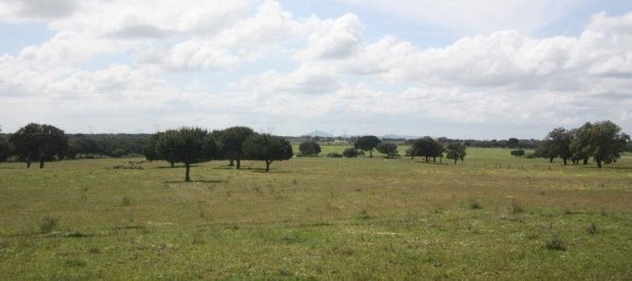 Grundstück in Palmela, Portugal 76138m², Nr. 268003 13