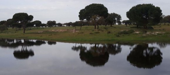 Grundstück in Palmela, Portugal 76138m², Nr. 268003 3