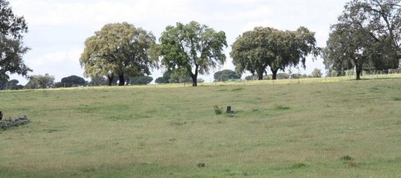 Grundstück in Palmela, Portugal 76138m², Nr. 268003 25