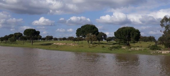 Grundstück in Palmela, Portugal 76138m², Nr. 268003 29