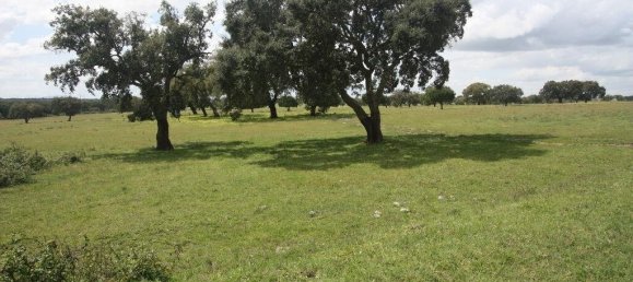 Grundstück in Palmela, Portugal 76138m², Nr. 268003 9