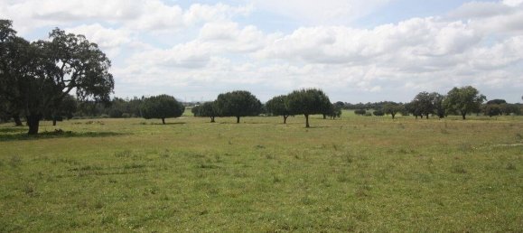 Grundstück in Palmela, Portugal 76138m², Nr. 268003 11