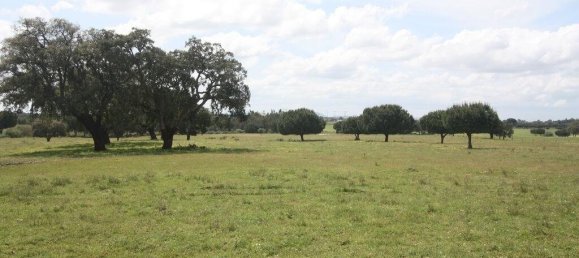 Grundstück in Palmela, Portugal 76138m², Nr. 268003 10