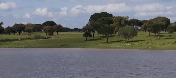 Grundstück in Palmela, Portugal 76138m², Nr. 268003 4