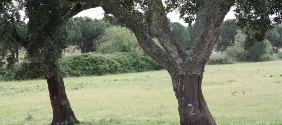 Grundstück in Palmela, Portugal 76138m², Nr. 268003 22