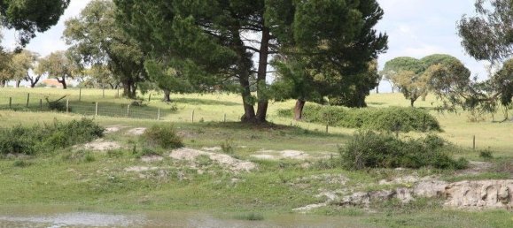 Grundstück in Palmela, Portugal 76138m², Nr. 268003 7