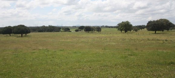 Grundstück in Palmela, Portugal 76138m², Nr. 268003 15