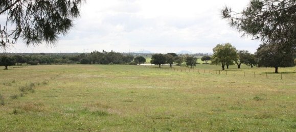 Grundstück in Palmela, Portugal 76138m², Nr. 268003 16